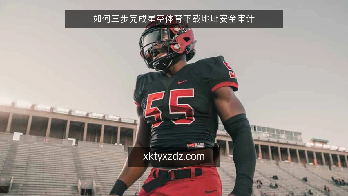 如何三步完成星空体育下载地址安全审计
