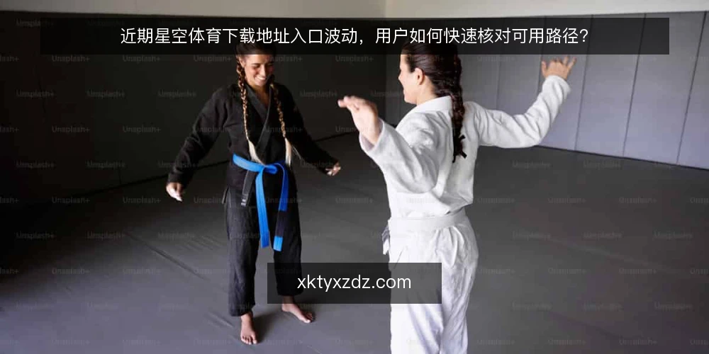 近期星空体育下载地址入口波动，用户如何快速核对可用路径？ — 近期下载入口的常见波动 配图