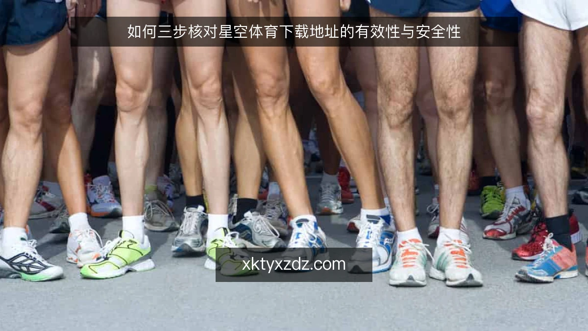 如何三步核对星空体育下载地址的有效性与安全性